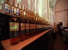 macallan-2